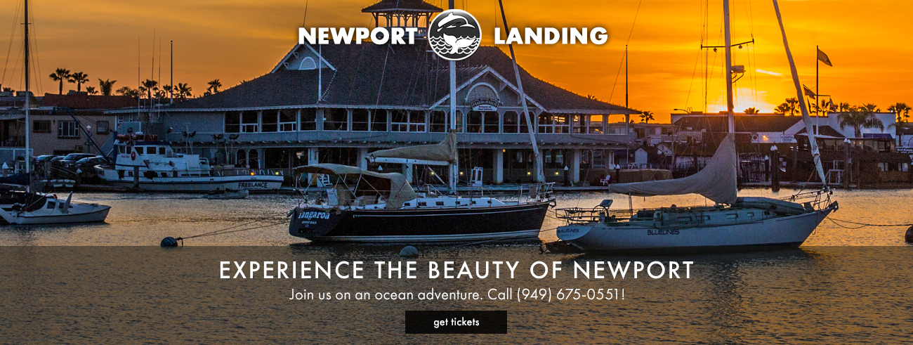 Get on a whalewatching trip from Newport Landing!