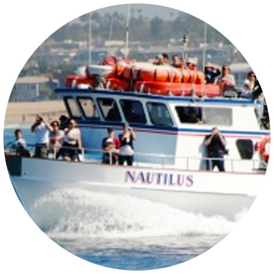 Newport Landing ship, Nautilus, takes people out to sea to look for whales and other ocean wildlife.