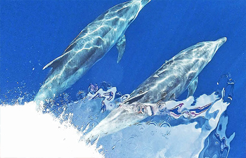 Two bottlenose dolphins swim underwater and kick up ocean spray.