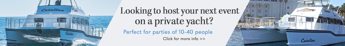 Advertisement for private yacth party rentals