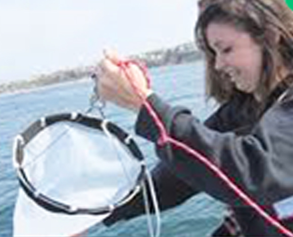 A marine science student uses a net while aboard a boat on the Pacific Ocean.